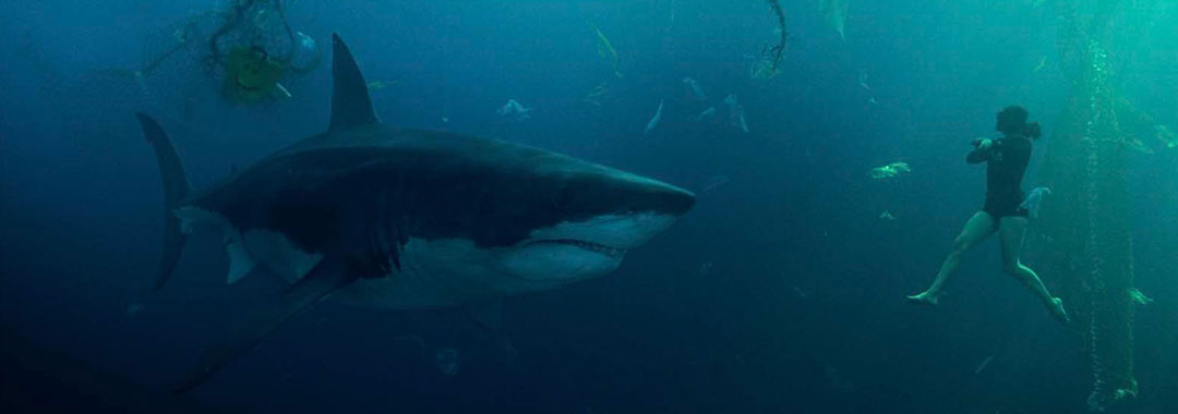 Sous la Seine : Bérénice Bejo fait face au requin Lilith